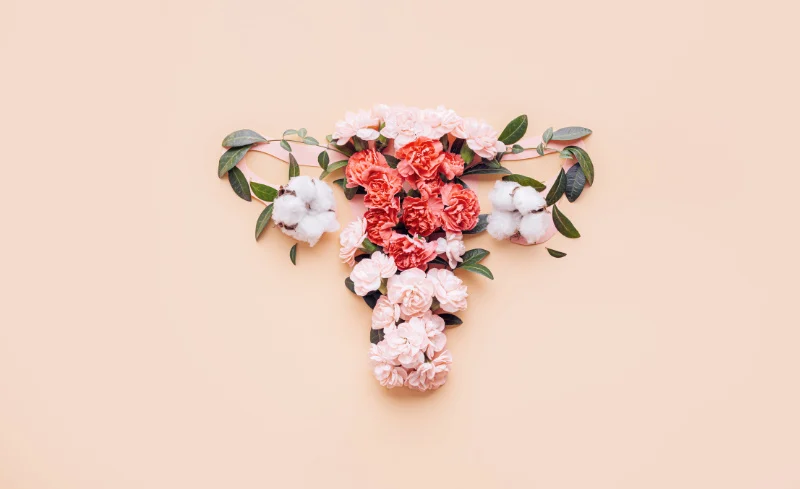 flowers arranged in the shape of a uterus and ovaries
