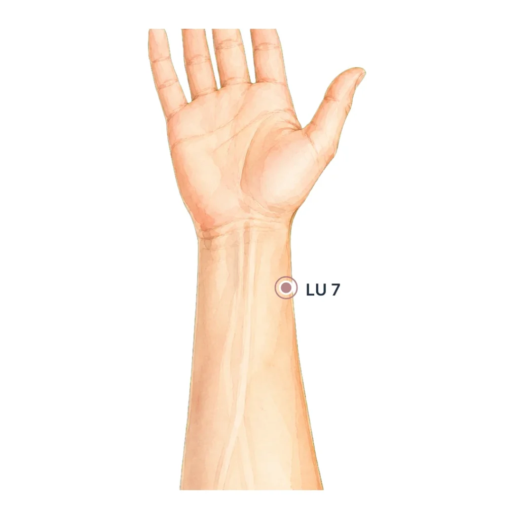 Acupressure point LU 7 on the thumb side of the forearm, about two finger-widths above the wrist crease